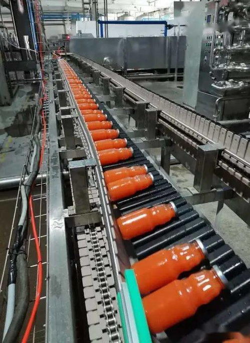 昌吉高新區(qū) 以精深加工引領(lǐng)產(chǎn)業(yè)升級，塑料化糞池助力綠色農(nóng)業(yè)增長